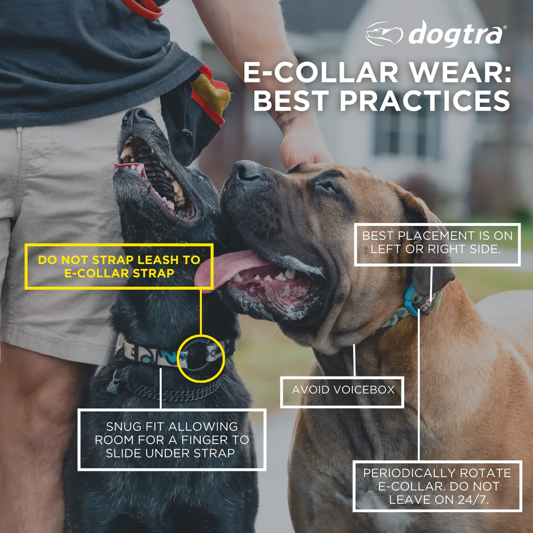 Dogtra ARC Handsfree Plus Boost & Lock - Image 9