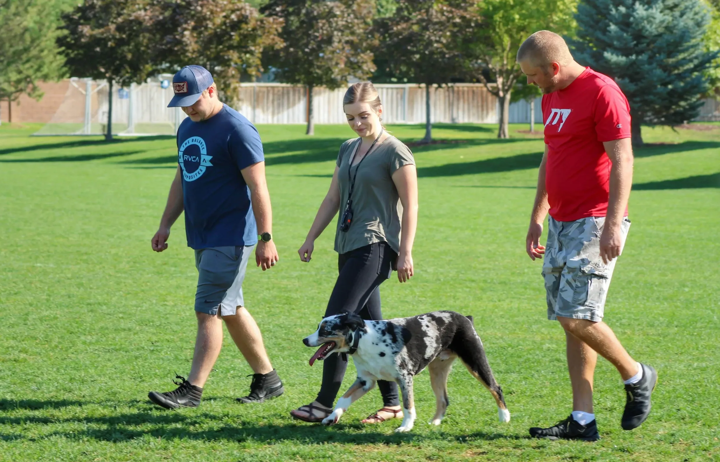 Dog training to stay at a distance