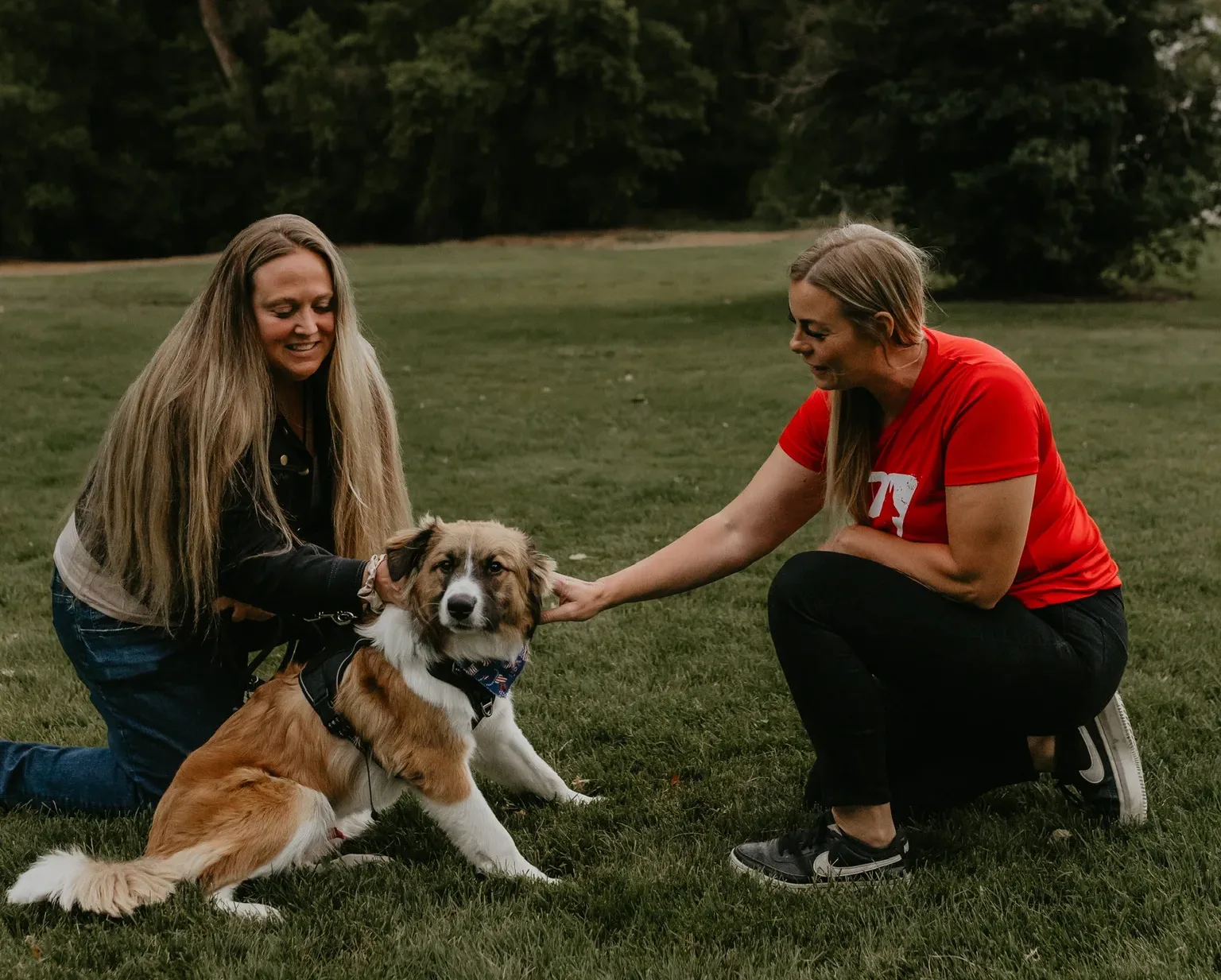 Dog with owner, looking uneasy